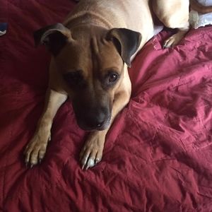 Meet your Posher, Sharon